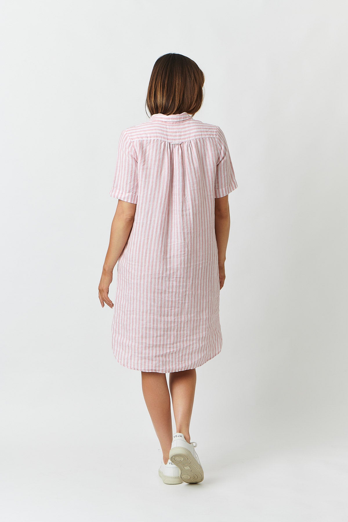 ENV-021 Bande Rose